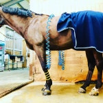 홀스마스터즈승마클럽