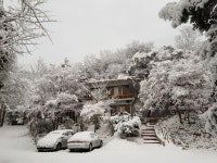 자산정사