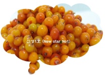 비타민나무농원