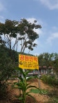 공원민박
