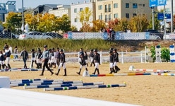 홀스마스터즈승마클럽