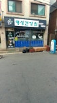 명성건강원