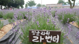가남 정보화마을