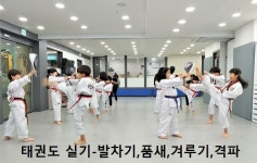 상무태권도