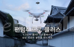 플라잉팜