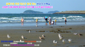 춘장대해수욕장