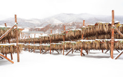 대관령살바토레 펜션