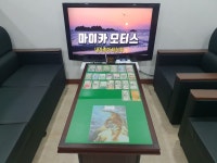 마이카모터스