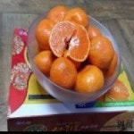 영희네농장