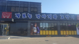 장보는강아지와고양이 파주점