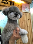 까가주개
