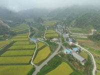 농업회사법인 지리산흰민들레영토
