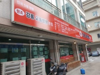 원조강릉교동짬뽕 본점