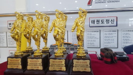 경희대정우태권도장