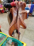 충청도 미숙이네