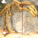 창조자연사박물관