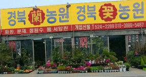 경북꽃농원