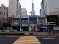 블루밍헤어