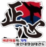 용인대정심태권도