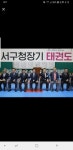 용인대정심태권도
