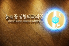 눈의꽃성형외과의원