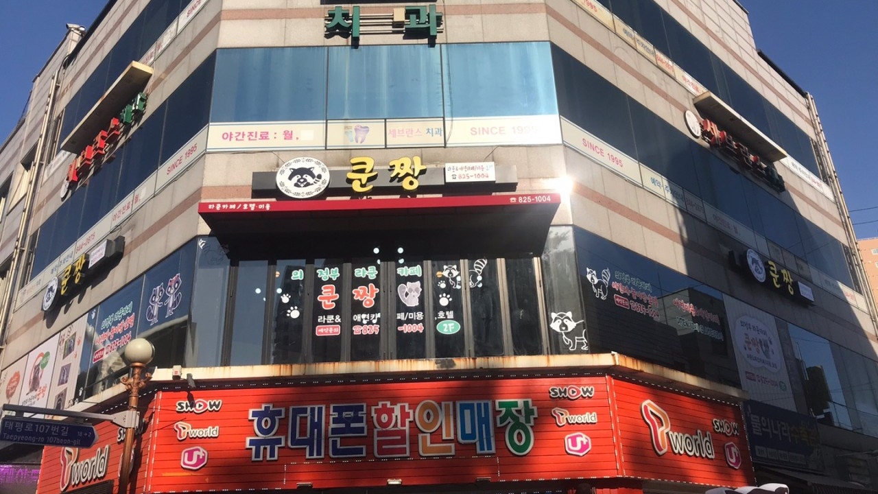 쿤짱