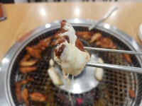다온숯불닭갈비