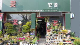 한솔꽃집