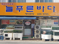늘푸른바다