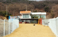 러브독애견훈련소