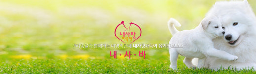반려동물과함께하는내사랑바둑이
