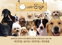 카페몽몽