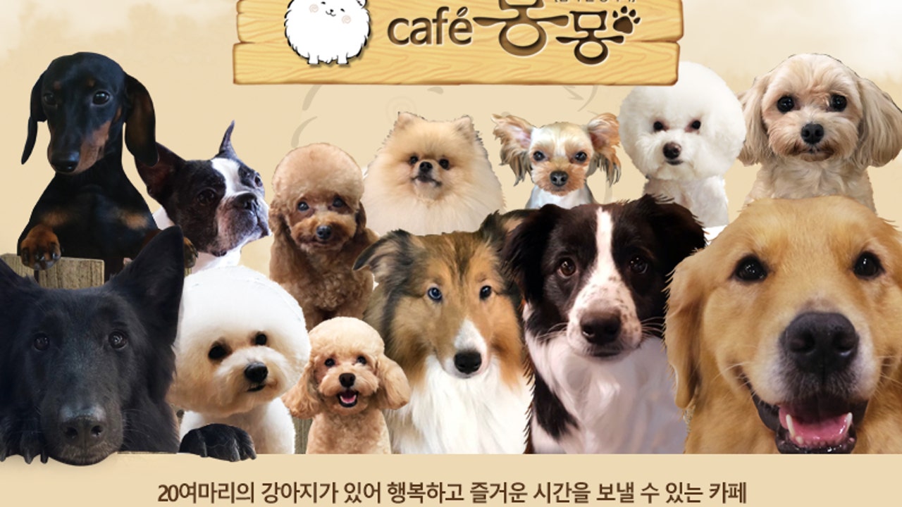 카페몽몽