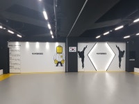 석사극동태권도