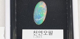 신세계보석