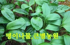 큰별농원