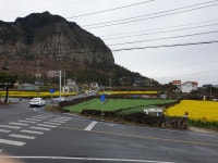 돈고팡 산방산점