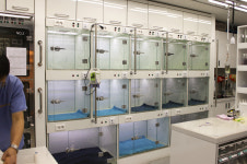 뉴에스동물병원