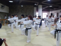 이화태권도 멀티짐