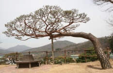천문대펜션