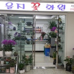 을지화원