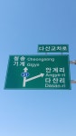 사거리잔디