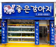 좋은강아지