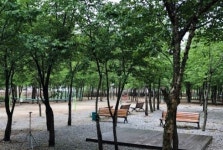 파란풍차민박