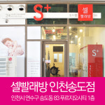 셀빨래방 인천송도점