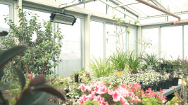 메디움천안요양병원