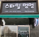 스타일멍멍