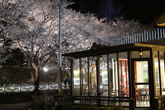 카페 꽃피는산골 사진