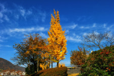 국립김해박물관