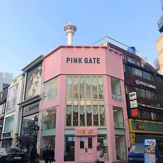 핑크게이트 사진